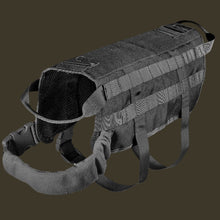 black dog tactical vest 