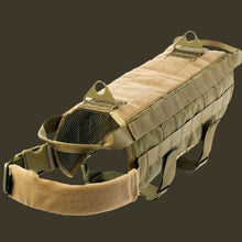 army dog vest